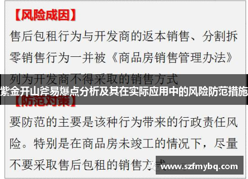紫金开山斧易爆点分析及其在实际应用中的风险防范措施