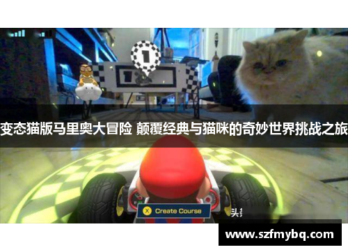 变态猫版马里奥大冒险 颠覆经典与猫咪的奇妙世界挑战之旅