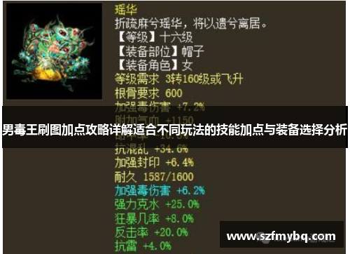 男毒王刷图加点攻略详解适合不同玩法的技能加点与装备选择分析
